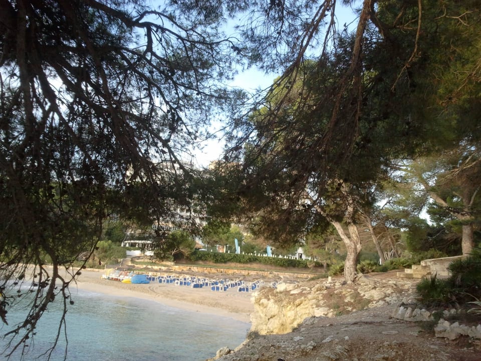 Strand Iberostar Waves Pinos Park