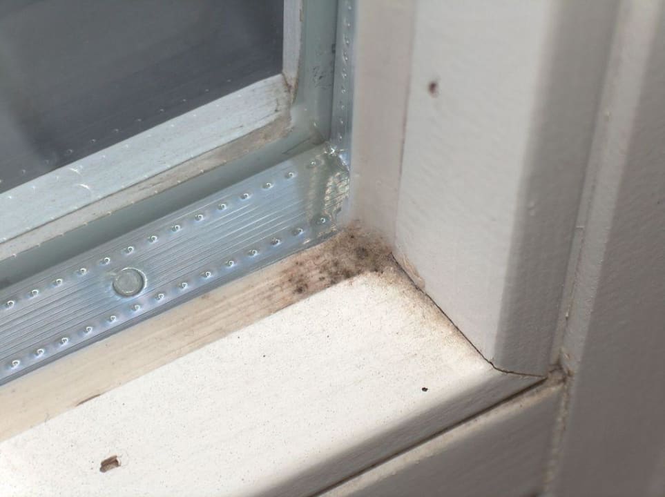 Schimmel am Fenster Hotel an der Therme