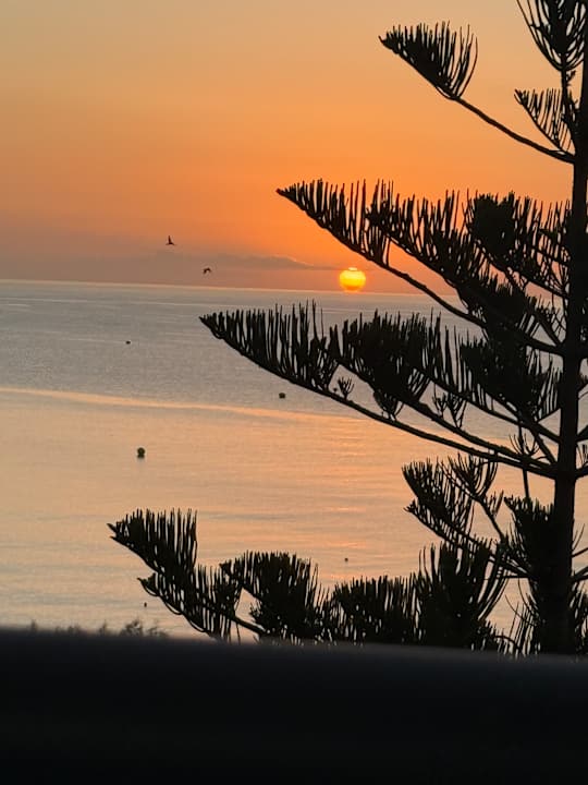 Sonstiges Hotel Calypso Beach