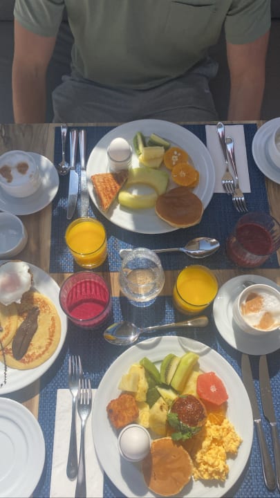 Gastro Acanthus Cennet Barut Collection