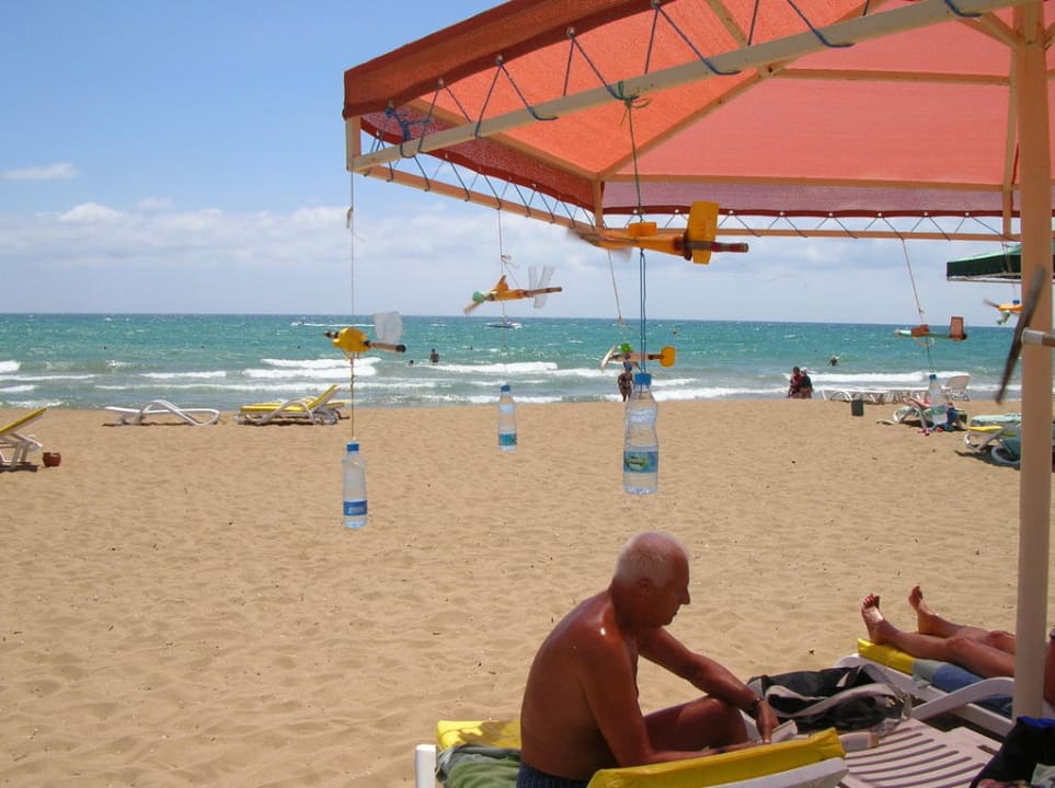 Flugbetrieb Kamelya Aishen Club