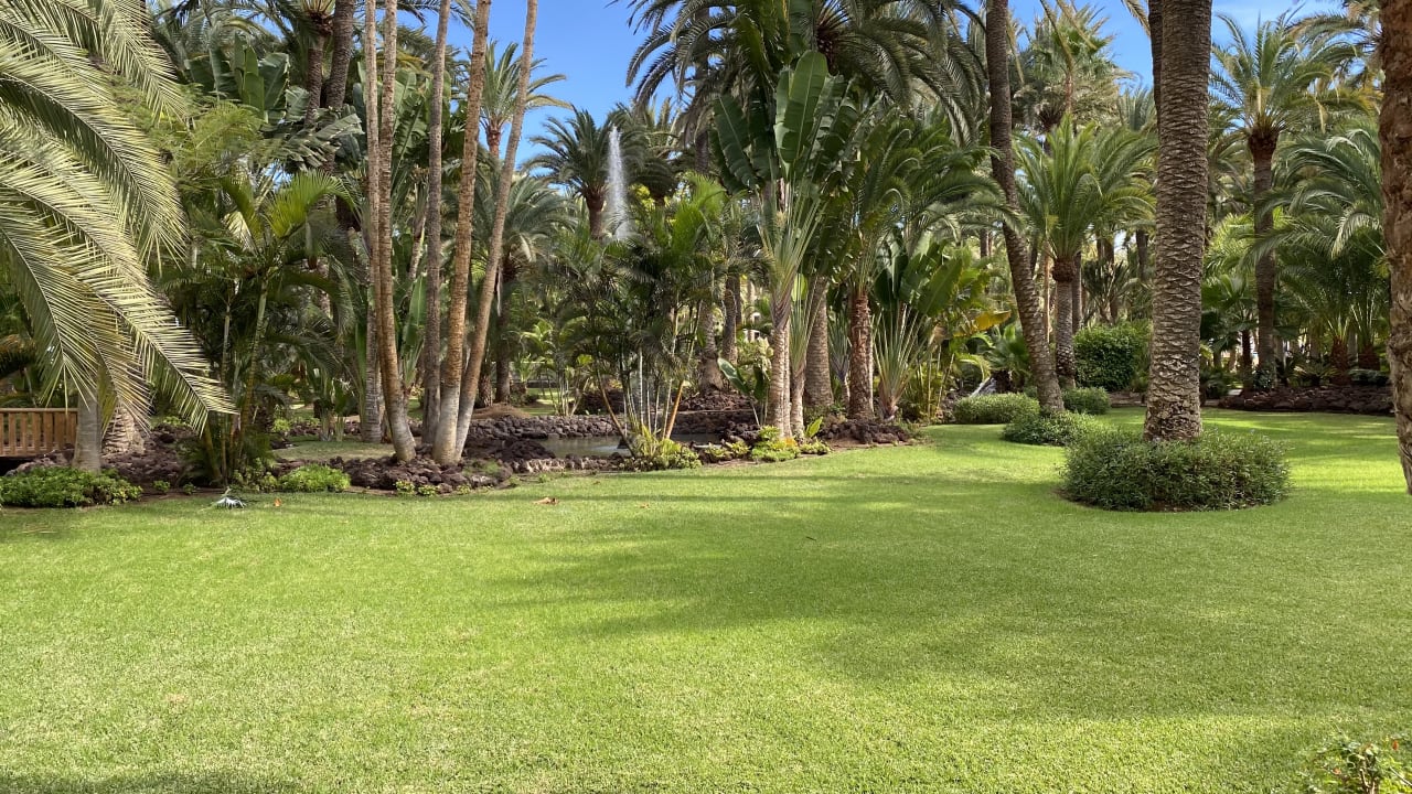 Gartenanlage Hotel Riu Palace Oasis