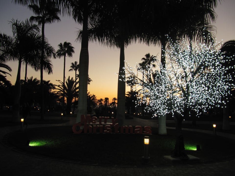Gartenanlage Hotel Riu Gran Canaria