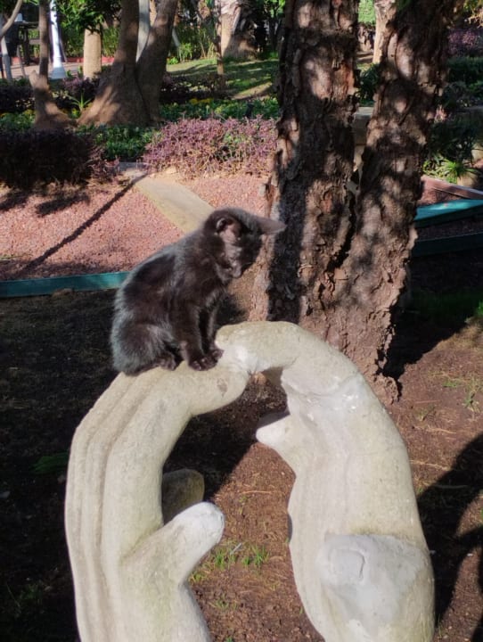 Gartenanlage Hotel Delphin Imperial