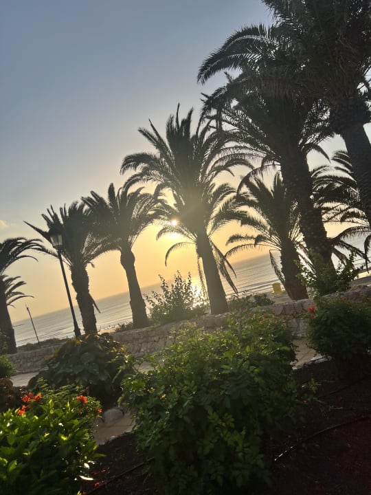Gartenanlage SBH Monica Beach Resort