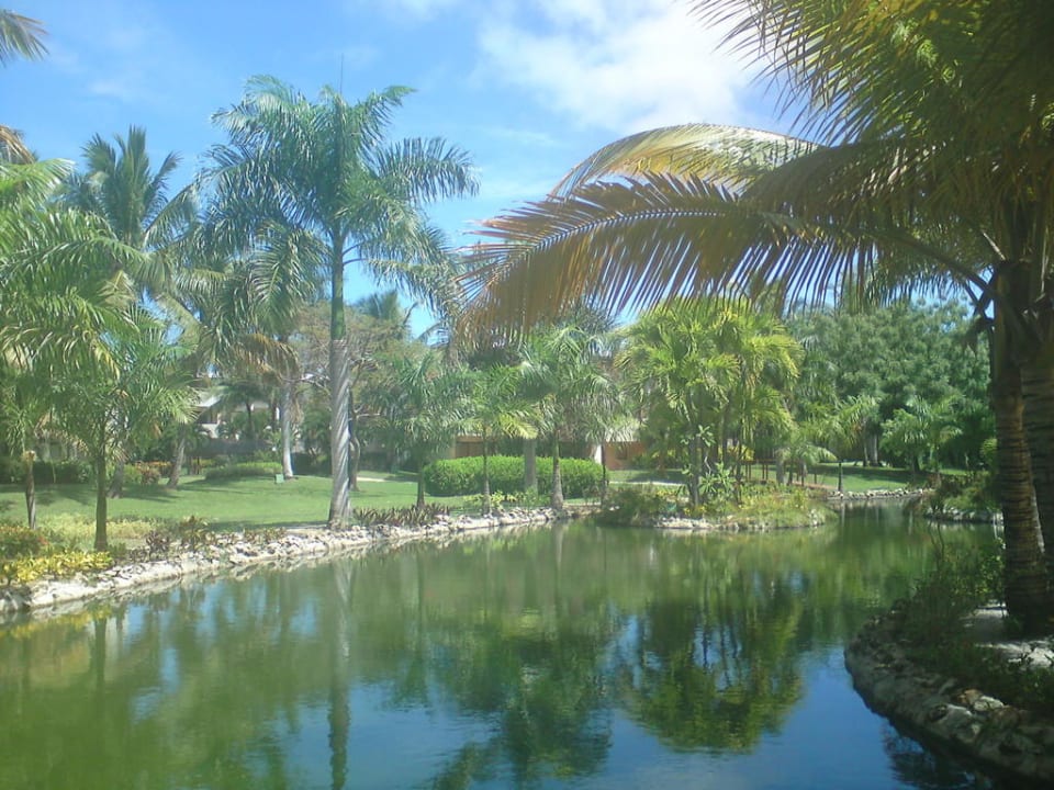 Der große Teich in der Mitte der Anlage Catalonia Punta Cana - All Inclusive