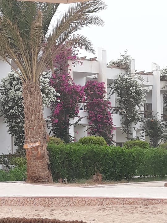 Außenansicht Menaville Safaga