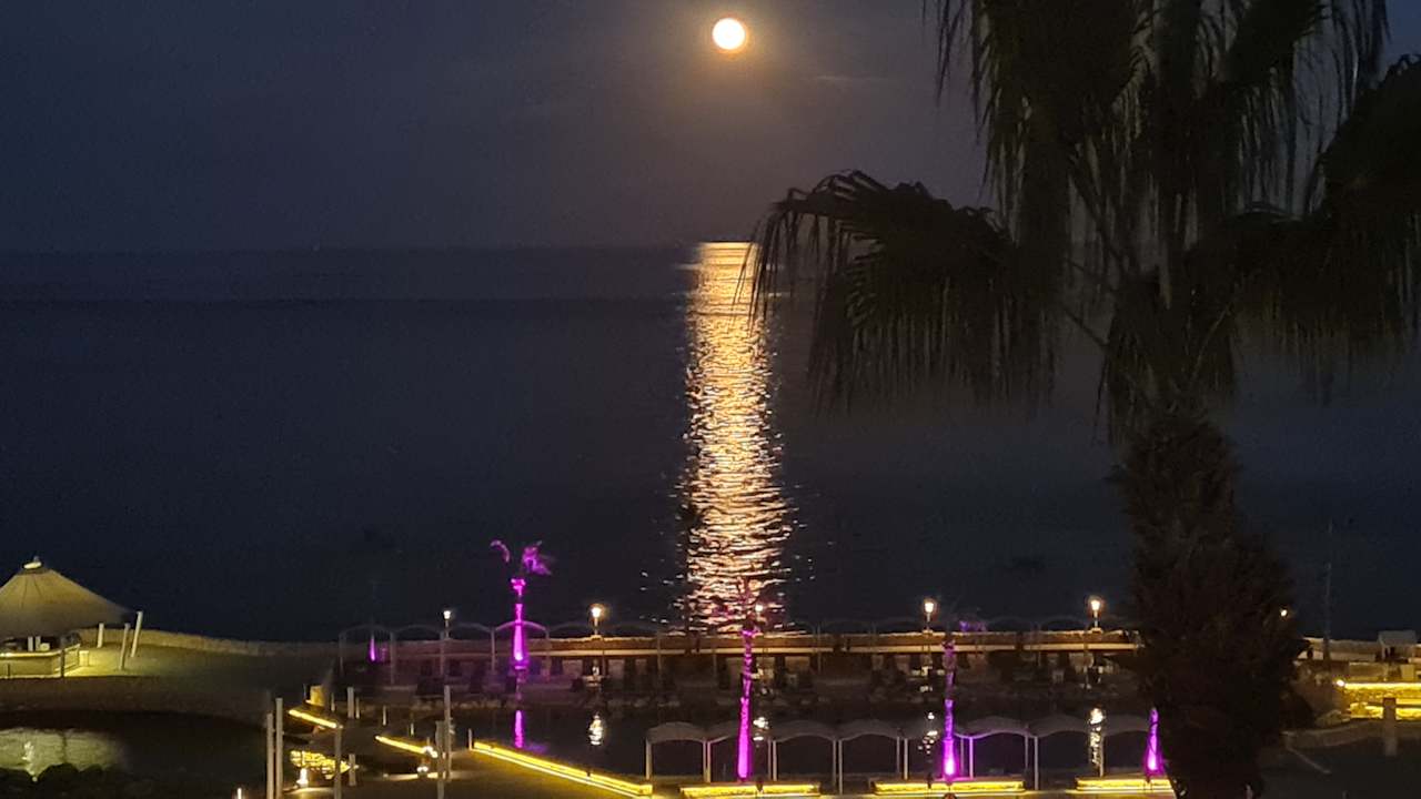 Ausblick Pickalbatros Citadel Resort