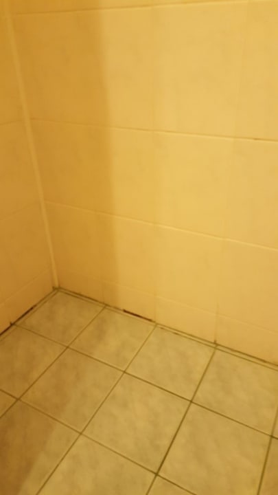 Zimmer Parkhotel Continental