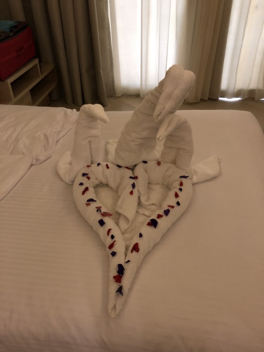 Zimmer Titanic Royal