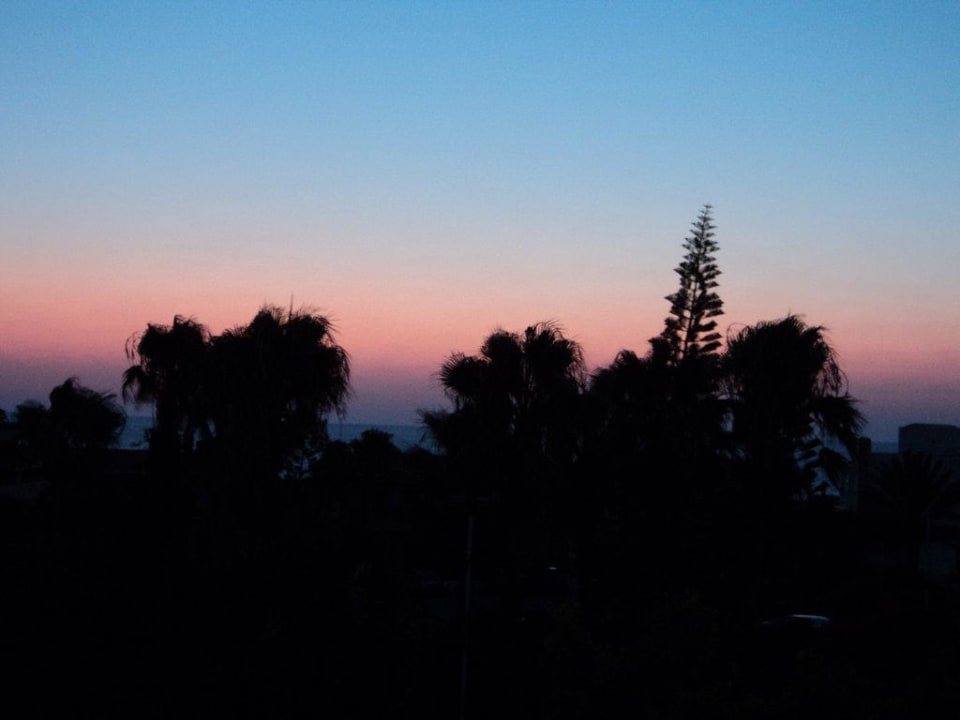 Morgendämmerung Hotel Harry's