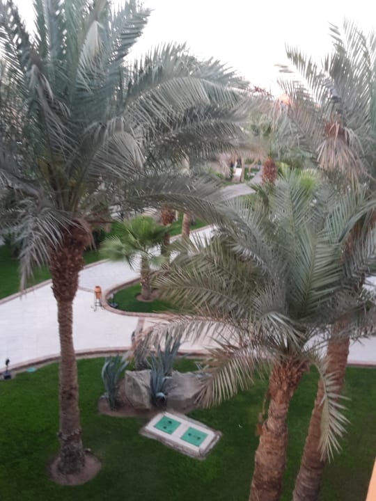 Zimmer Jaz Makadi Oasis Resort