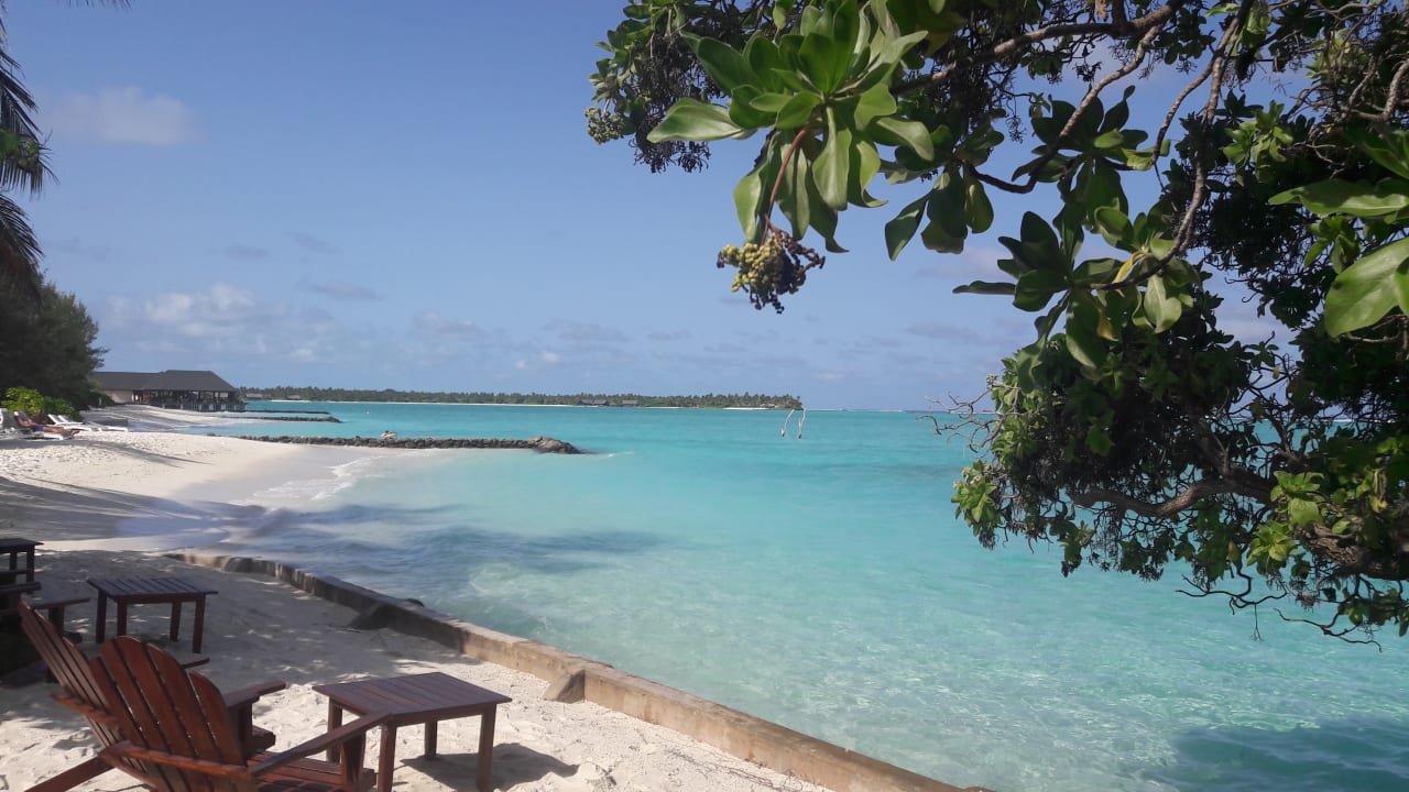 Strand Summer Island Maldives