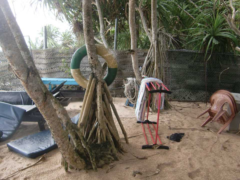 Hotel Haus am Meer Hotel Haus am Meer Wilde Ananas