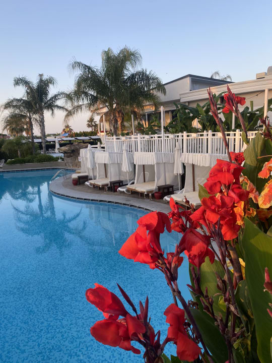 Pool Adalya Elite Lara