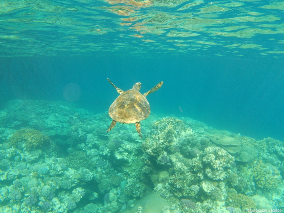 Sport & Freizeit Malikia Resort Abu Dabbab