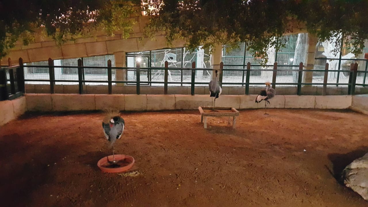 New Block Facing Room Hotel Emirates Park Resort