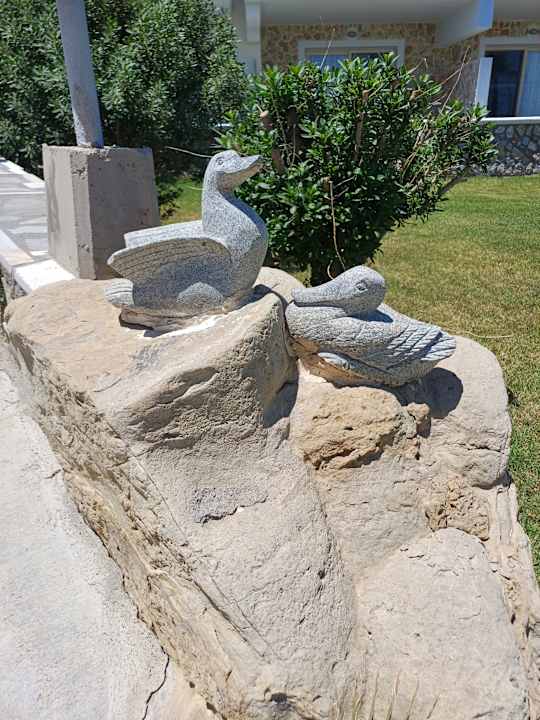 Gartenanlage Grand Blue Beach Hotel