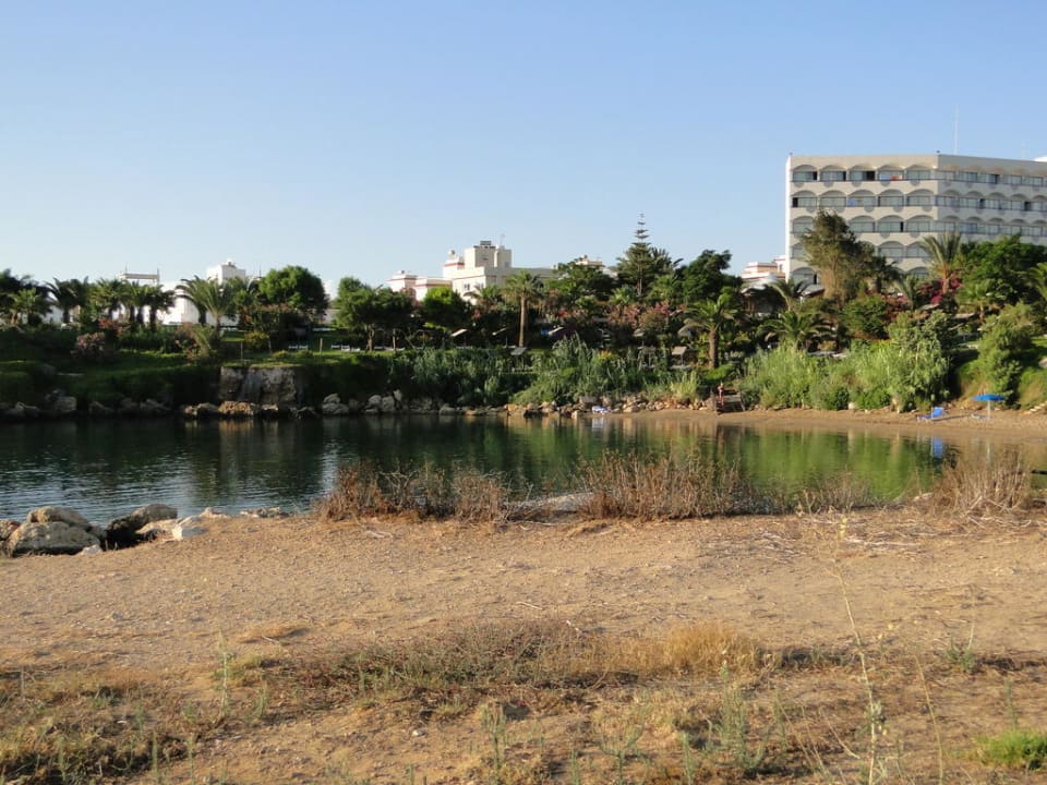 Crystal Springs Beach Hotel Crystal Springs Beach Hotel