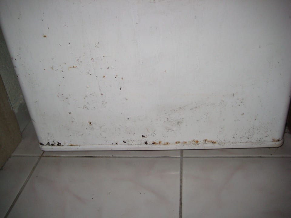 Kühlschrank Melissa Garden Aparthotel