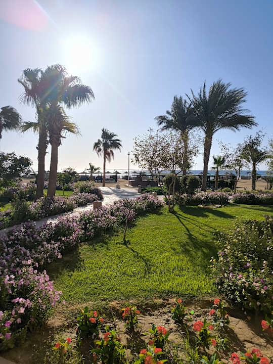 Außenansicht Shams Alam Beach Resort