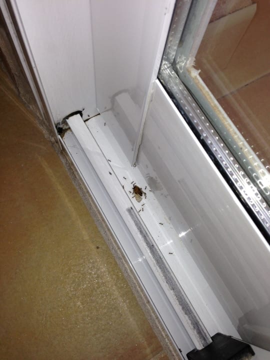 Fenster/Balkontür VIVA Cala Mesquida Resort & Spa