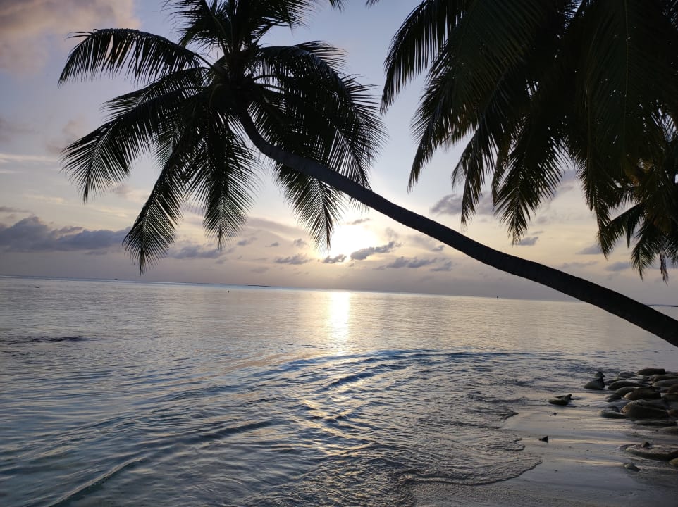 Ausblick Vilamendhoo Island Resort & Spa