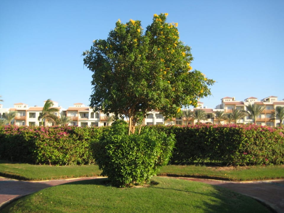 Gartenanlage Pickalbatros Dana Beach Resort - Hurghada