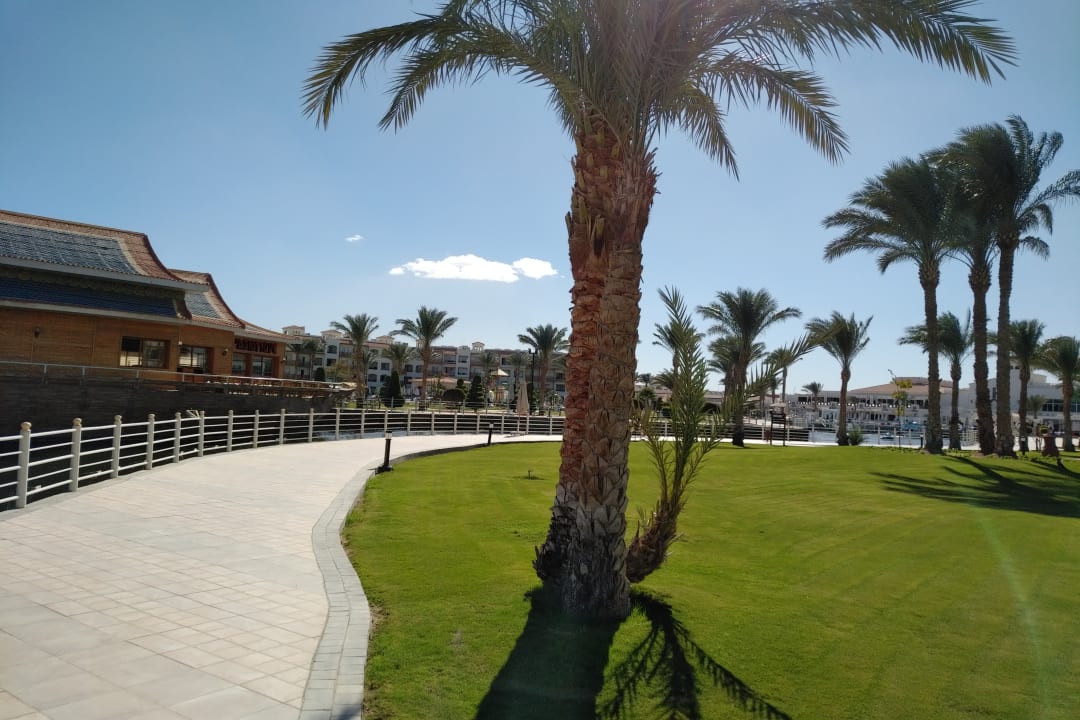 Sonstiges Pickalbatros Dana Beach Resort - Hurghada