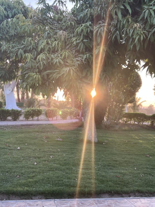 Gartenanlage Jolie Ville Kings Island Luxor