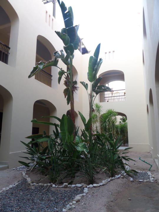 Im Innen Bereich der Hotelanlage JAZ Aquamarine Resort