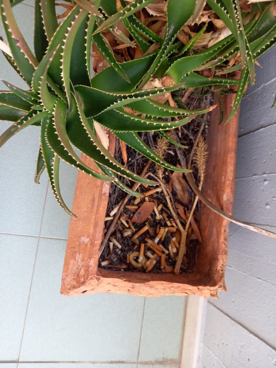 Zimmer Hotel Tornese - Tuscan Lifestyle