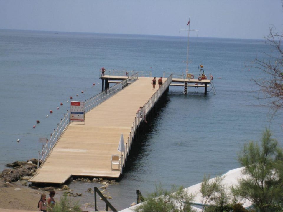 Steg PALOMA Perissia