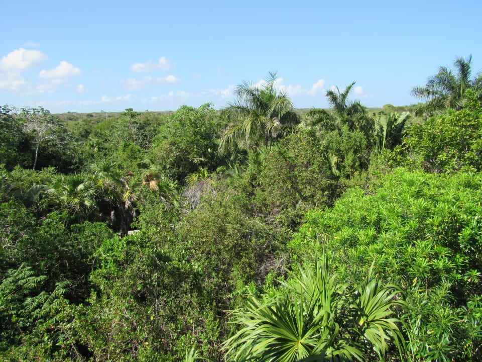 Zimmerausblick  Villa 51 Grand Palladium Kantenah Resort & Spa