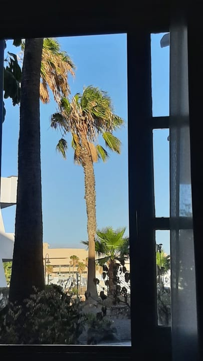 Zimmer allsun App.-Hotel Albatros