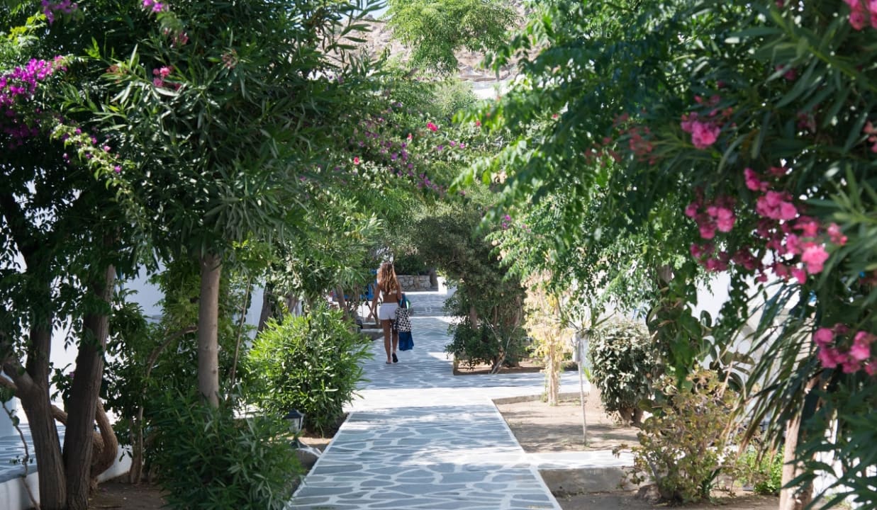 Gartenanlage Hotel Acrogiali