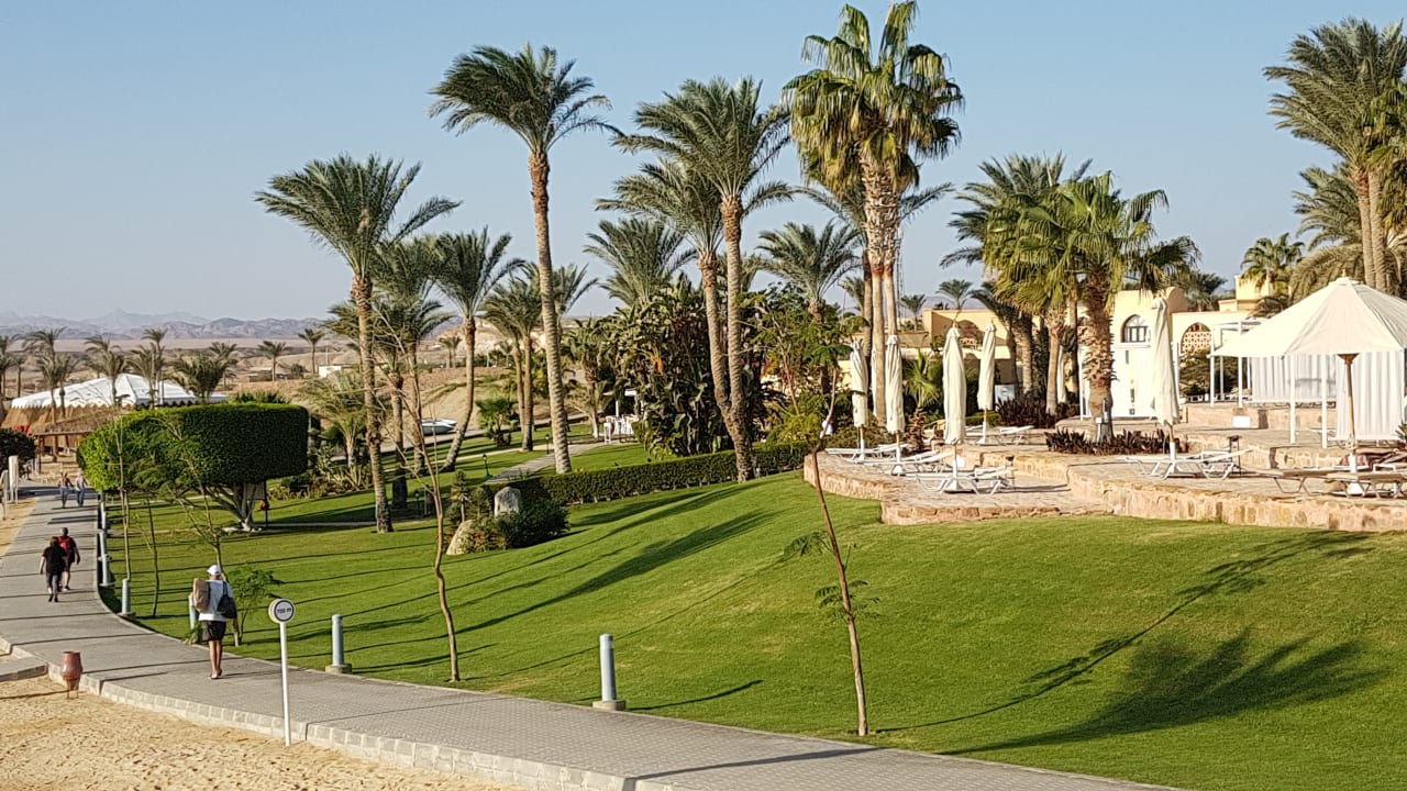 Gartenanlage Steigenberger Coraya Beach - Adults only