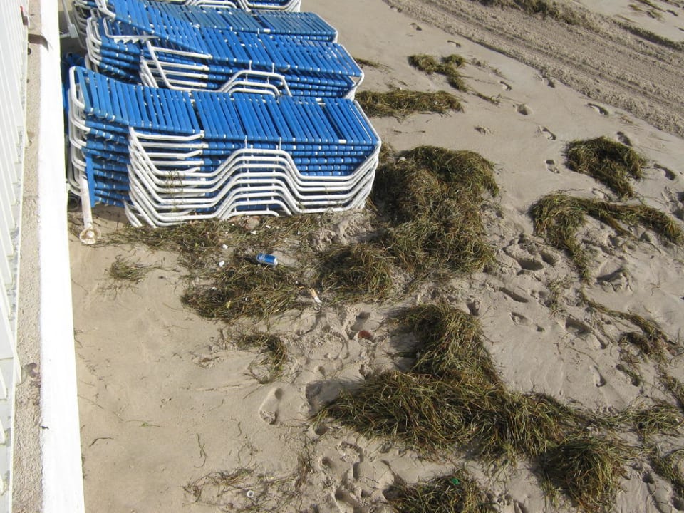 Sehr gepflegt Hotel Ocean Sky Beach Resort
