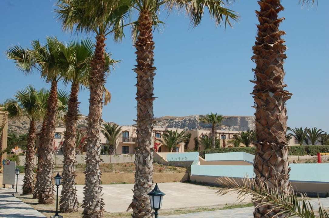 Palmenallee Porto Bello Beach