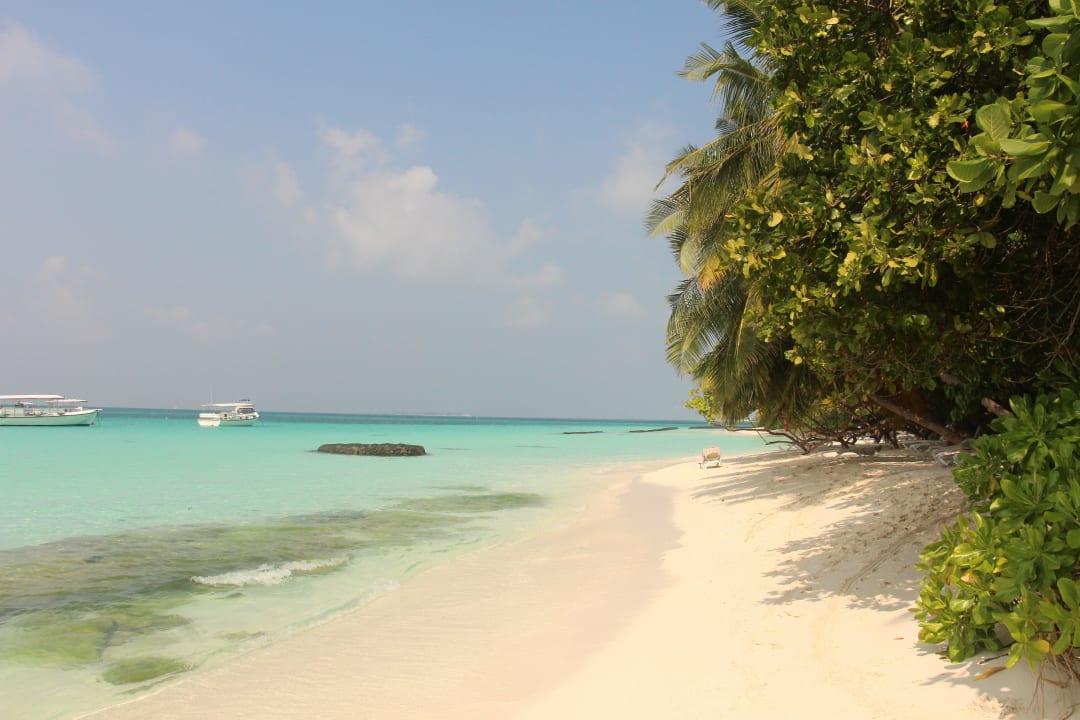 Traumstrand an der Lagune Kuramathi Maldives