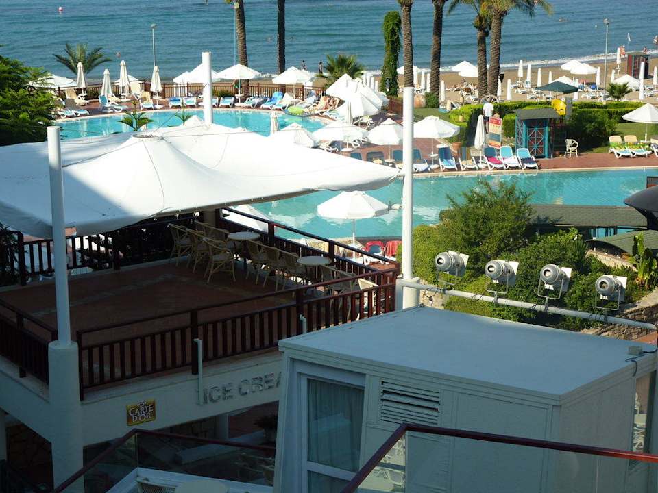 Sentido PALOMA Perissia