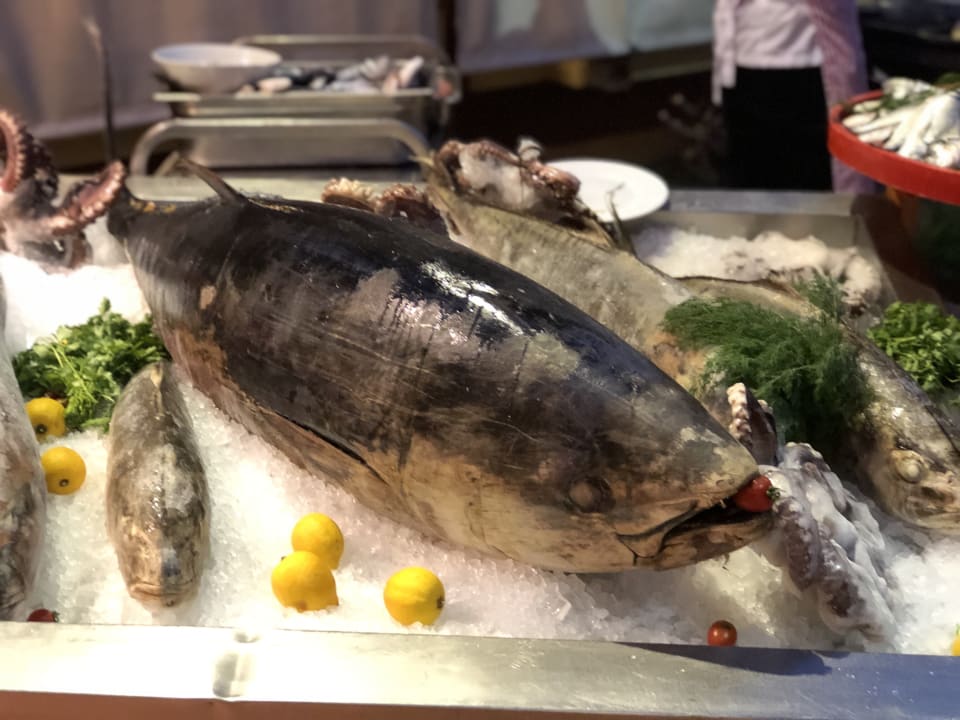 Gastro ROBINSON ÇAMYUVA