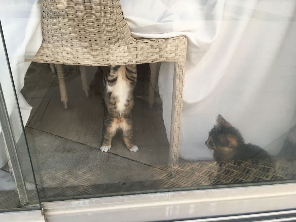 Sonstiges Ramada Resort Kusadasi & Golf