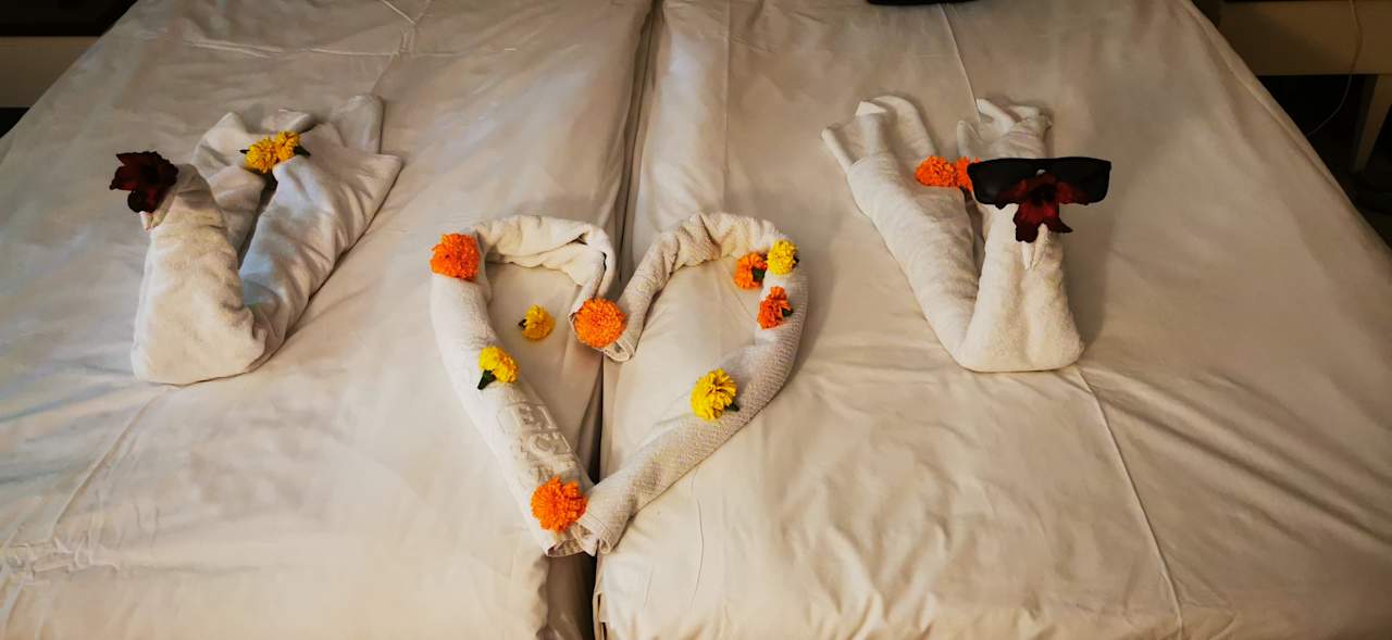 Zimmer Kamelya Aishen Club