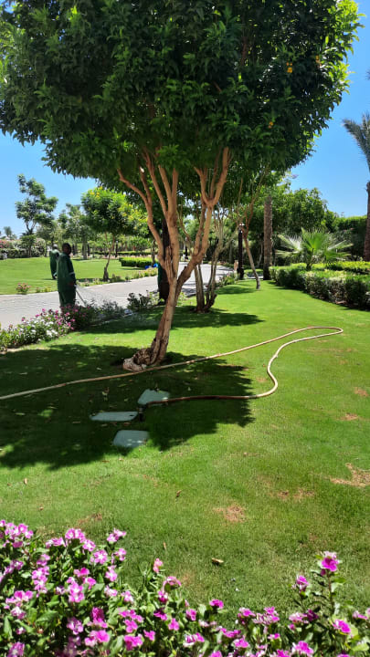 Gartenanlage Steigenberger Aqua Magic