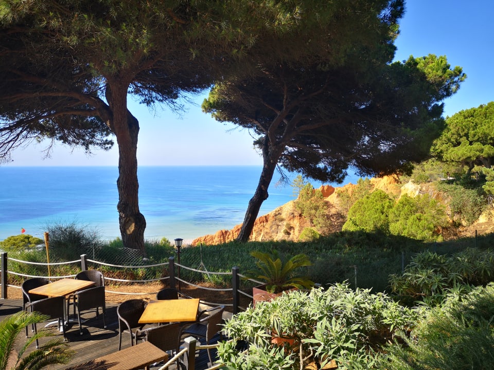 Gartenanlage PortoBay Falésia