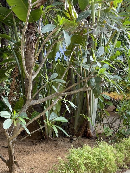 Gartenanlage Friday Attitude