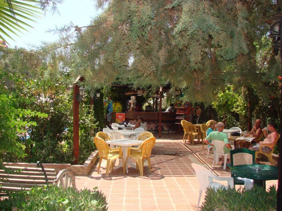 Barek przy basenie Hotel Pink Palace