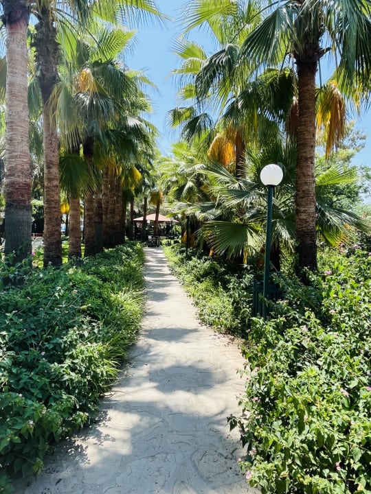 Gartenanlage Hotel Yetkin