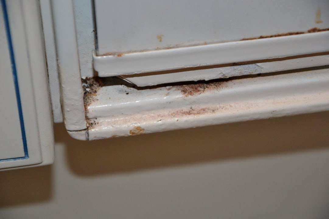 Küchenkästchen Parque Santiago III Official